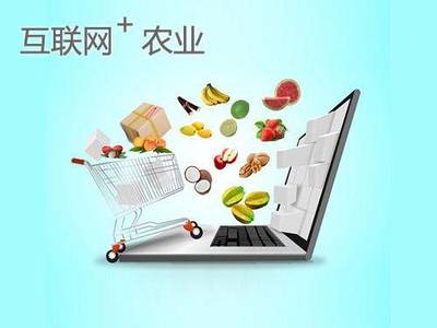 網紅帶貨日入四萬 如何將流量轉化為可持續的財富？