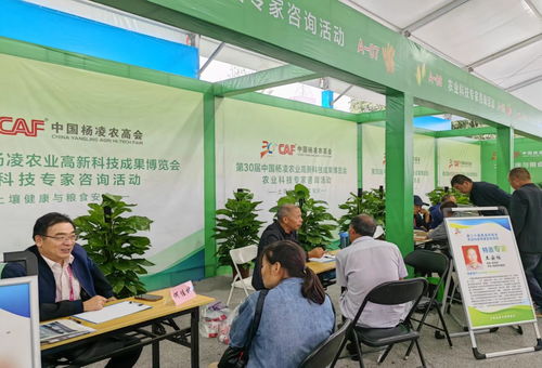第三十屆中國楊凌農業高新科技成果博覽會開幕，揭秘現代農業技術咨詢新趨勢